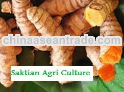 Turmeric