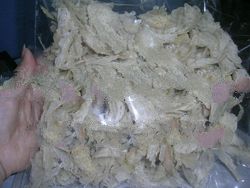 Broken Nest