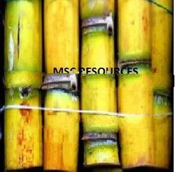 White Cane Sugar
