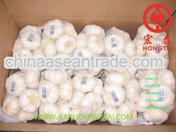 2012 Cold Storaged Garlic