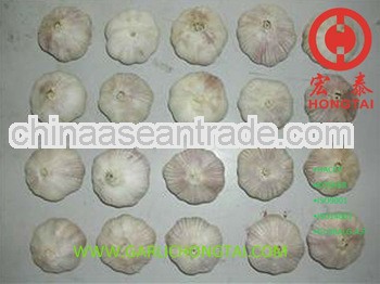 2012 Fresh Red Garlic 5.0CM 