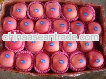 2012 Seasonable fresh Fuji apple hot sale in the world