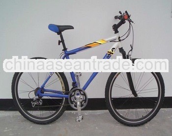 2012 fashionable single speed mountain bike