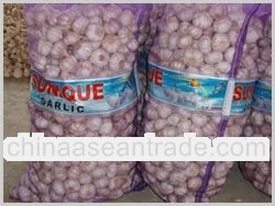 2012 normal white garlic 4.5cm up