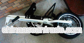 2013 China Mini Folding Bike