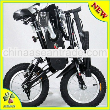 2013 Most Fashionable X Shape Folding Bicycles/Bike