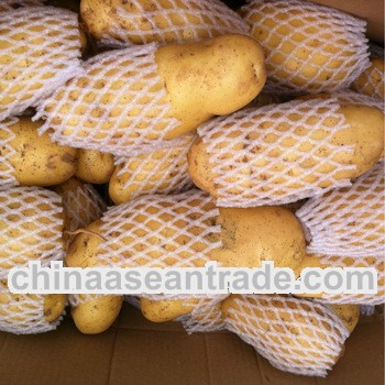 2013 New season potato/fresh potato/potato