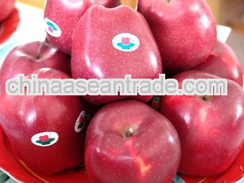 2013's premium quality huaniu apples from hongtai