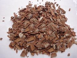 Cassia Broken KBBC