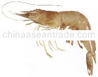 Banana prawn