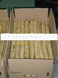 FRESH SUGAR CANE