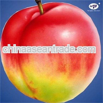 3'5'-Sodium Nucleic Acid Plant Growth Regulator (NAA)