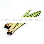 Lemon Grass