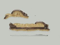maela sofa