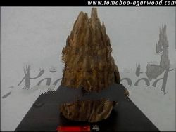 Tomoboo Agarwood