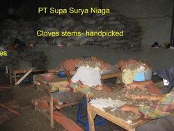 Cloves Stems