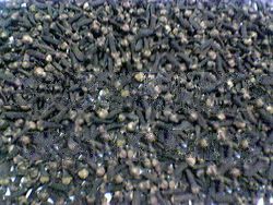 n Cloves