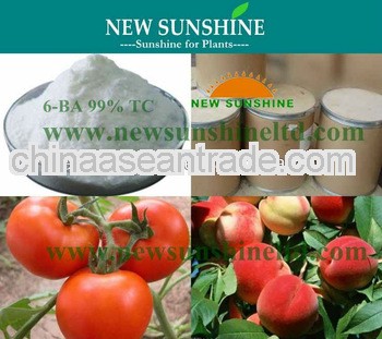 6-BA 98% TC Organic plant growth promoter