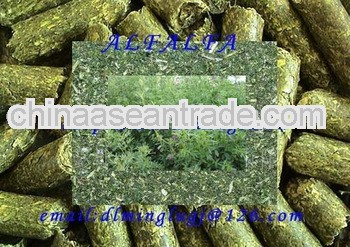 Alfalfa Pellets for Feeds