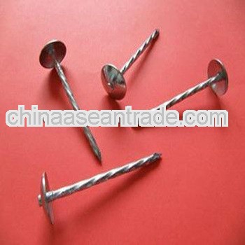 Boony roofing nail (factory)