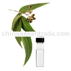 Bulk Pure Natural Eucalyptus Oil