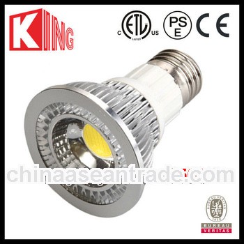 COB led par20 bulb