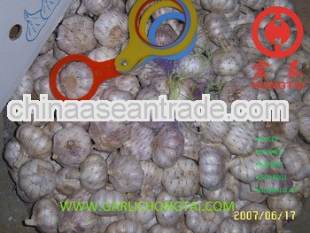 Chinese Fresh Common White Garlic 4.5CM