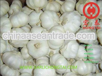 Chinese Fresh Garlic 4.5 CM Price
