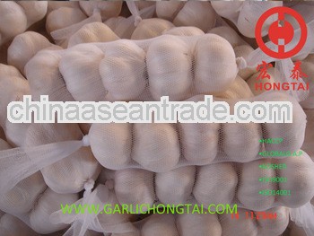 Chinese Fresh Garlic 5P Mesh Bag Price