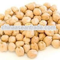 Evergreen quality Chick peas 40/42 For Liberia