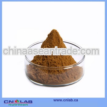 Factory Price Cinnamon Bark Water Extract