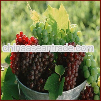 GA3 Gibberellic acid 90%