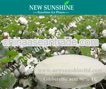 Gibberellic acid Crystal Powders Best Plant hormone