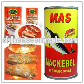 Good taste and low price canned mackerel in brine