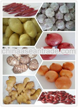HACCP/ KOSHER/ HALAL/ FDA Aromatics-ginger