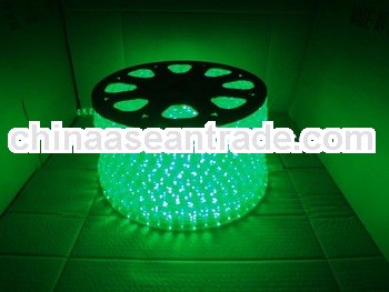 Holiday Time Rope Lights Promotion