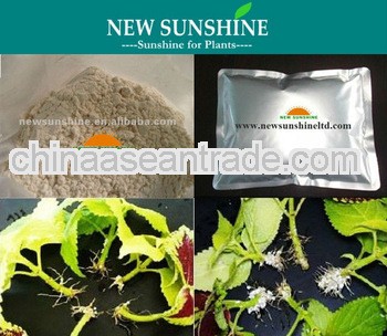 IBA 98% TC for rooted plants cutting