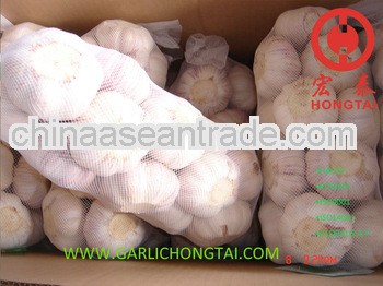 Jinxiang Fresh Garlic 6.5CM Price
