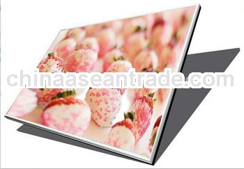 NEW Original Laptop LCD replacement B116XW02 V.0