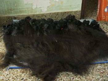 PERSONAL CARE!!!!!!!! INDIAN HAIR WEFT, VIRGIN INDIAN HAIR,INDIAN HUMAN HAIR