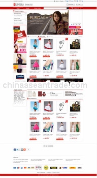 Professional Looking Website, ecommerce website