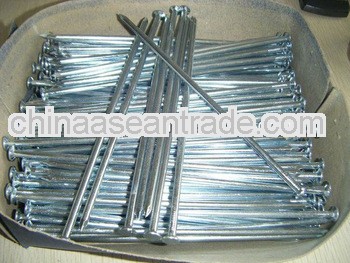 Q195 Common galvanized iron nails