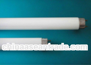 T8 Fluorescent lamp