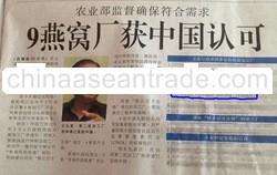 News Headline
