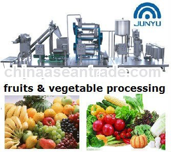 africa juice processing line