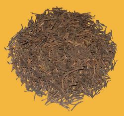 CLOVE STEM