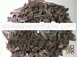 Tomoboo Agarwood
