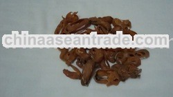 Mace / Jawatri