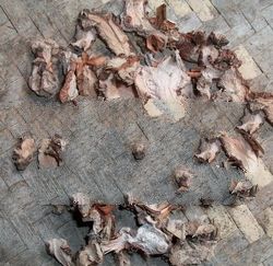 sliced dried alpinia galanga