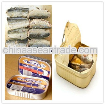 canned sardine seafood in tomato sauce